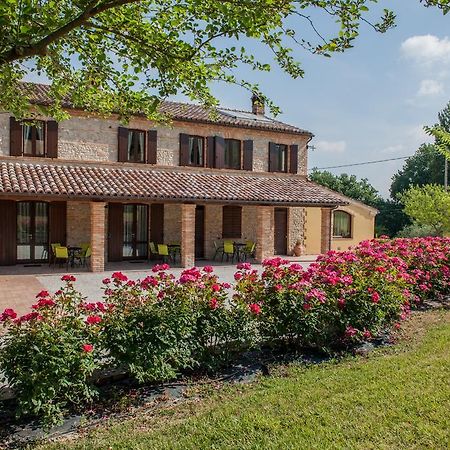 Agriturismo La Vecchia Fonte Castelbellino Exteriör bild