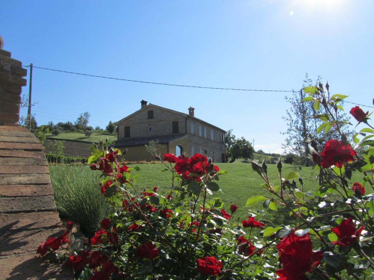 Agriturismo La Vecchia Fonte Castelbellino Exteriör bild
