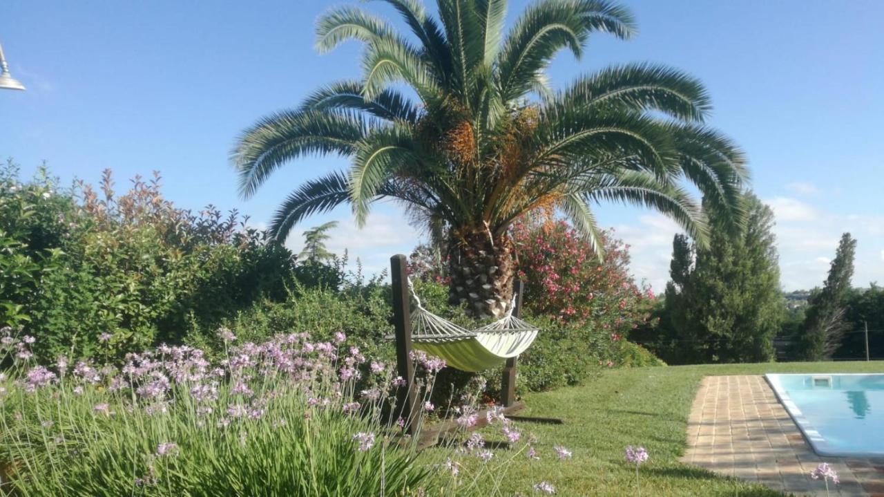 Agriturismo La Vecchia Fonte Castelbellino Exteriör bild