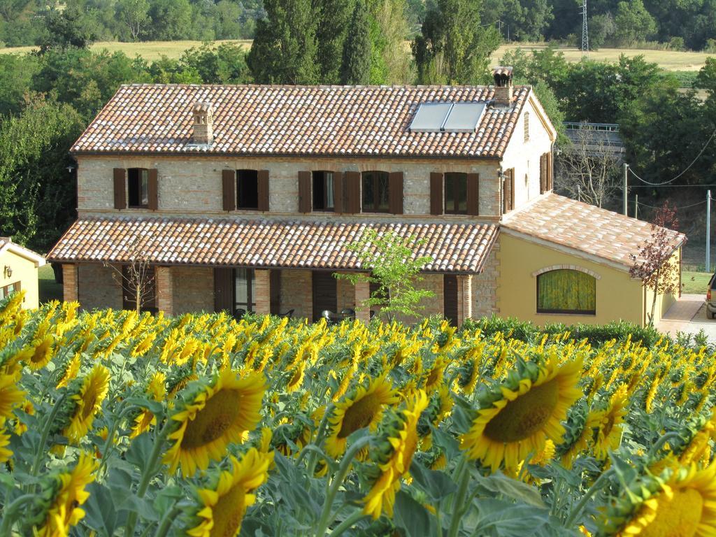 Agriturismo La Vecchia Fonte Castelbellino Exteriör bild