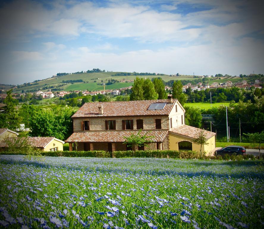 Agriturismo La Vecchia Fonte Castelbellino Exteriör bild